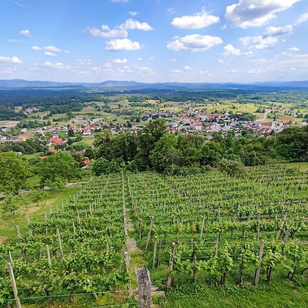 Zidanica-Vineyard Cottage Jakse Semic Esterno foto