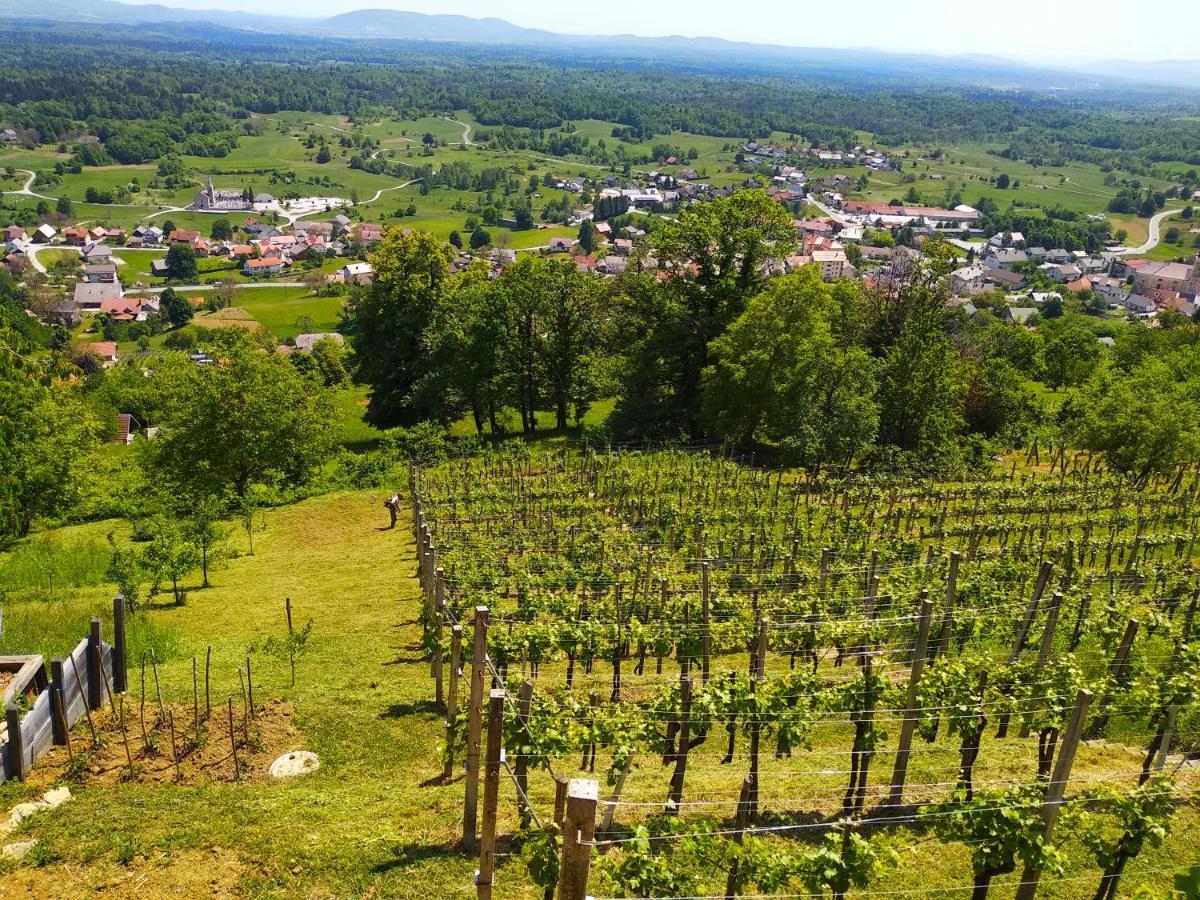 Zidanica-Vineyard Cottage Jakse Semic Esterno foto