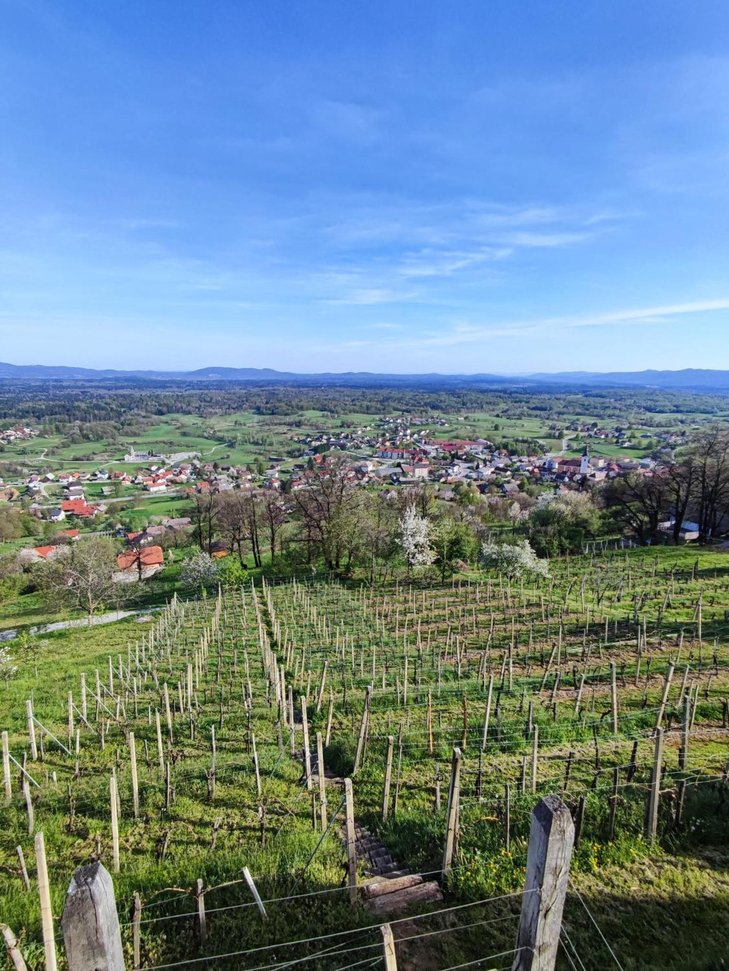 Zidanica-Vineyard Cottage Jakse Semic Esterno foto