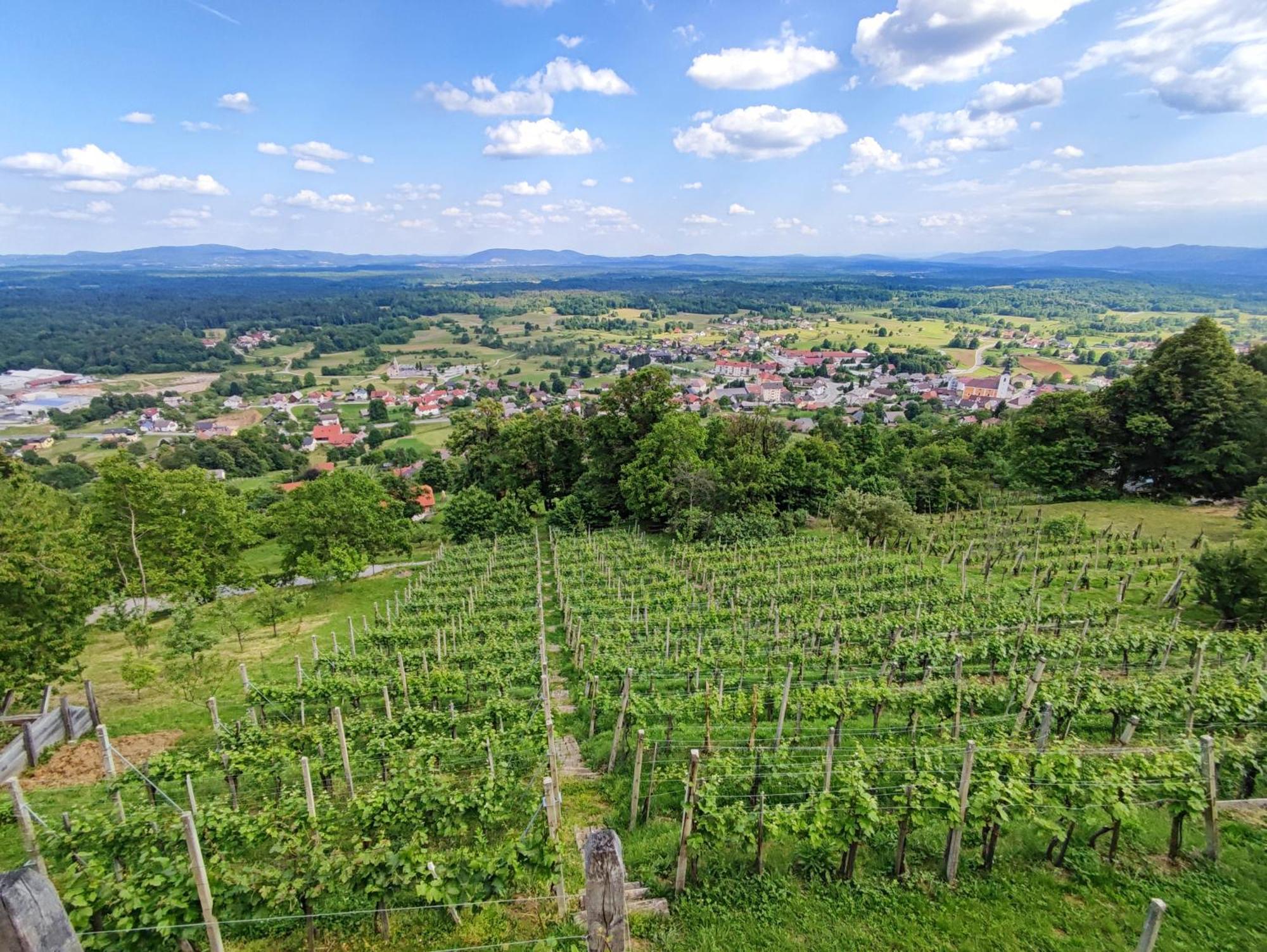 Zidanica-Vineyard Cottage Jakse Semic Esterno foto